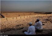جزیره شیف، درمنتهی الیه تالاب حله که ازبهم پیوستن آب رودخانه شاهپور و دالکی بوجود آمده است