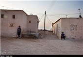 جزیره شیف-بوشهر