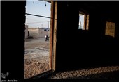 جزیره شیف-بوشهر
