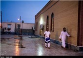 جزیره شیف-بوشهر
