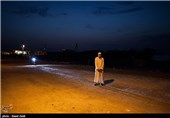 جزیره شیف-بوشهر