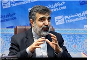 حضور بهروز کمالوندی سخنگوی سازمان انرژی اتمی در خبرگزاری تسنیم