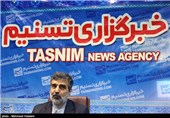 حضور بهروز کمالوندی سخنگوی سازمان انرژی اتمی در خبرگزاری تسنیم