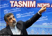 حضور بهروز کمالوندی سخنگوی سازمان انرژی اتمی در خبرگزاری تسنیم