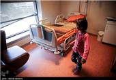 شوخان دختر 6 ساله ای که بینایی خود را به دلیل حساسیت دارویی از دست داده بود، توسط دکتر حسن قاضی زاده هاشمی وزیر بهداشت مورد  عمل پیوند  قرار گرفت و بینایی خود را بدست آورد .