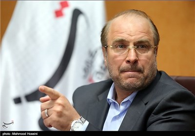 عبدالرضا رحمانی فضلی , شورای نگهبان , محمدباقر قالیباف , حسن روحانی , سید ابراهیم رئیسی , اسحاق جهانگیری , سیدمصطفی میرسلیم , هاشمی طبا , انتخابات ریاست‌جمهوری 96 , 