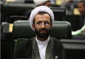 وزارت کشور و شورای نگهبان تخلفات انتخابات را بررسی کنند