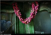 گلابگیری در قمصر کاشان