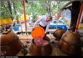 گلابگیری در قمصر کاشان