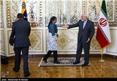 دیدار دلسی رودریگرز وزیر امور خارجه ونزوئلا با محمد جواد ظریف 