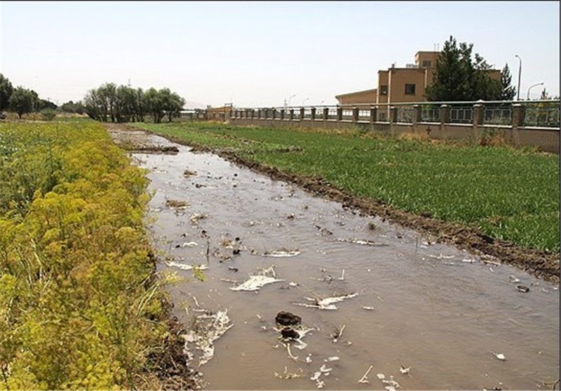 زمین کشاورزی