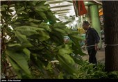 Tehran Gets Hit with Summer Storm