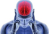 علائم و مراحل آغاز آلزایمر چیست؟/ توصیه‌هایی به خانواده‌های مبتلایان زوال عقل