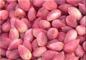 اعتبار جدید برای خریدوفروش "پسته" در بورس