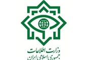 وزارت اطلاعات اظهارات یک نماینده مجلس را تکذیب کرد