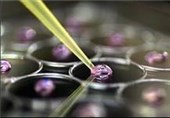 گشایش "مرکز جامع سلول‌های بنیادی و پزشکی بازساختی"