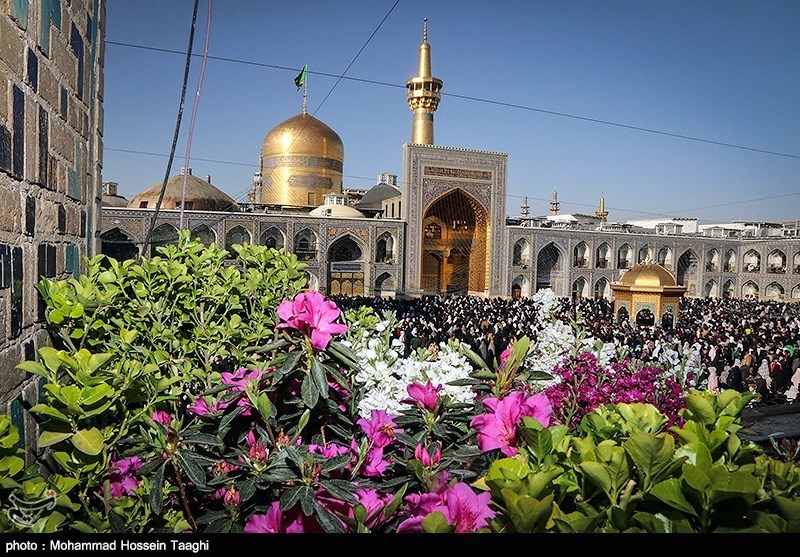 طرح"نائب الزیاره" امام رضا(ع) به صورت بین المللی در مشهد برگزار شود