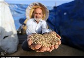 "نیمه‎ی پُر" | «کشاورزی» ایران جان گرفت + سند