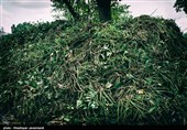 پاکسازی دریاچه عینک - رشت