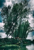 پاکسازی دریاچه عینک - رشت