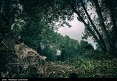 پاکسازی دریاچه عینک - رشت