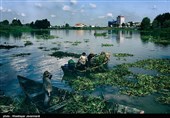 پاکسازی دریاچه عینک - رشت