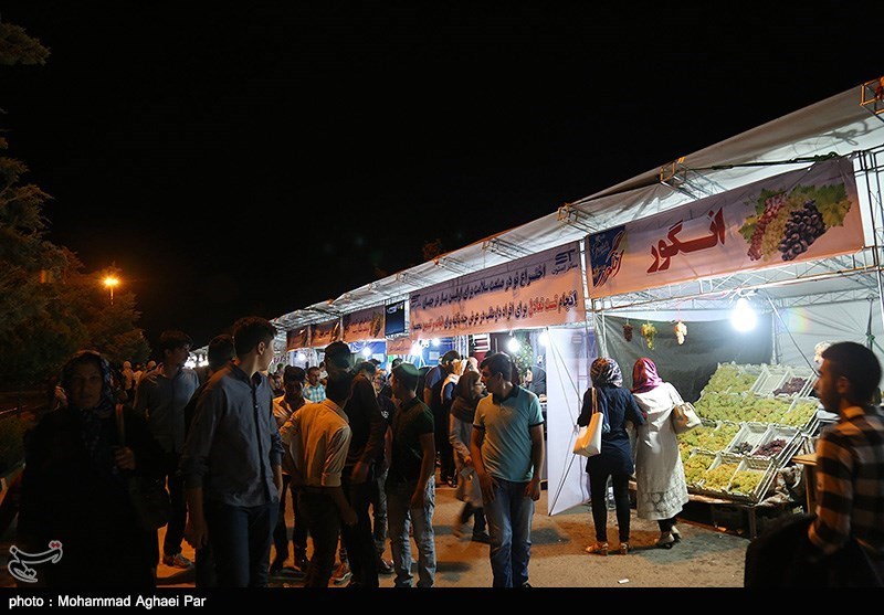 جشنواره انگور