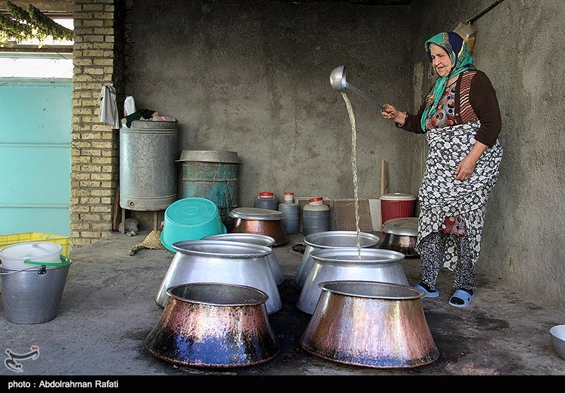 اخبار همدان , اخبار استان همدان , 