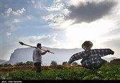 تاثیر فراتر از تصور انسان بر چرخه آب؛ کشاورزی مقصر اصلی