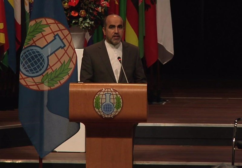 نماینده ایران در سازمان منع سلاح‌های شیمیایی خواستار پرهیز از سیاسی کردن پرونده سوریه شد