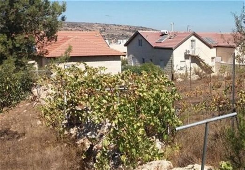Two Israelis Killed in Occupied West Bank: Report