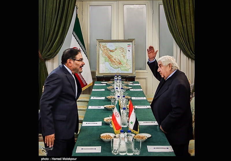 دیدار وزیر امور خارجه سوریه با دبیر شورای عالی امنیت ملی
