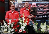 همدردی مردم قم با آتش نشانان حادثه پلاسکو