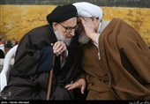  آیت الله سید محمد ضیاءآبادی