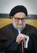  آیت الله سید محمد ضیاءآبادی