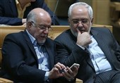 بیگی نژاد مطرح کرد: ماجرای اعتراض ظریف به سیاست های زنگنه در مکاتبه با شورای عالی امنیت ملی