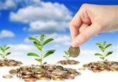 بانک‌ها در پرداخت تسهیلات اشتغال روستایی کند عمل می‌کنند