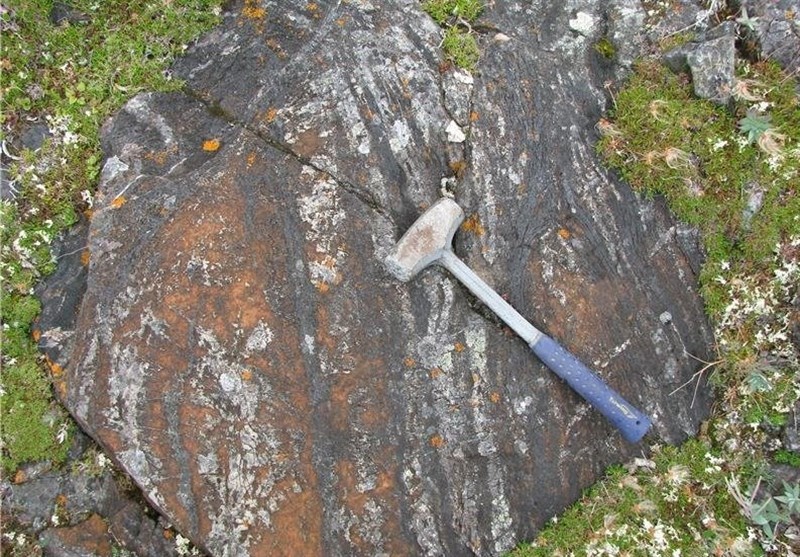 World's Oldest Fossils Unearthed