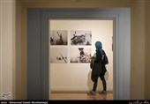 نمایشگاه عکس «عشق و آتش» کار گروهی عکاسان باشگاه خبرنگاران پویا(تسنیم)