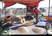 انتقال بازار روز کاشان نیازمند تأمین اراضی است/ لزوم تغییر مکان ترمینال کاشان