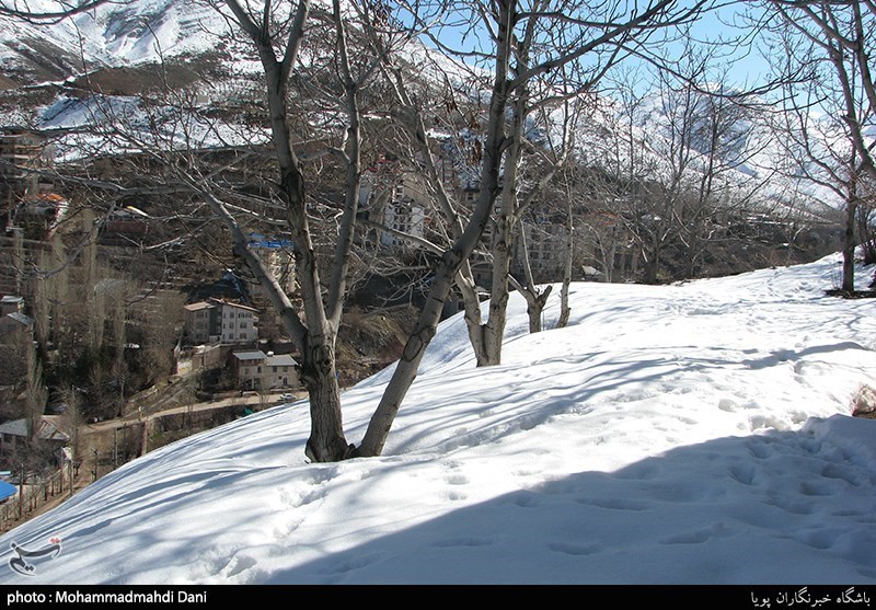 زمستان در بهار