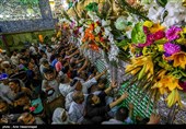 به مناسبت ولادت امیرالمومنین حضرت علی (ع)