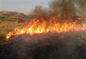 خرم‌آباد زیر دود مزارع؛ وقتی یک رسم غلط، حق نفس کشیدن را می‌گیرد!