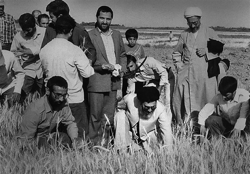 خامنه ای رهبر مزرعه