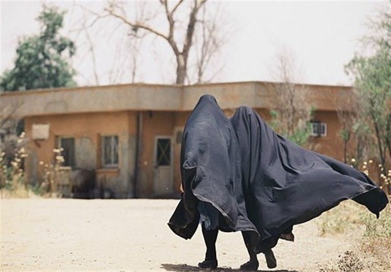 سینما , سینمای جهان , سینمای ایران , موکب تسنیم ,