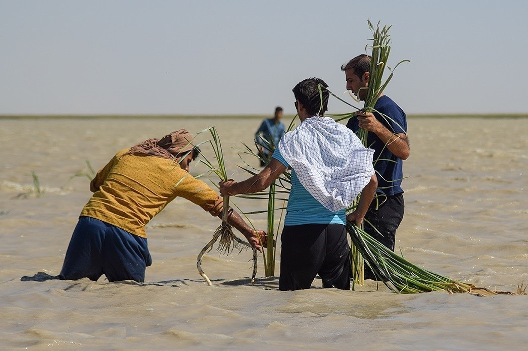 استان سیستان و بلوچستان ,