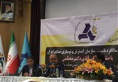 سفره فازهای پارس جنوبی تا پایان 97 بسته می‌شود/ ایران خودرو در فروش 2008 بی سلیقگی کرد