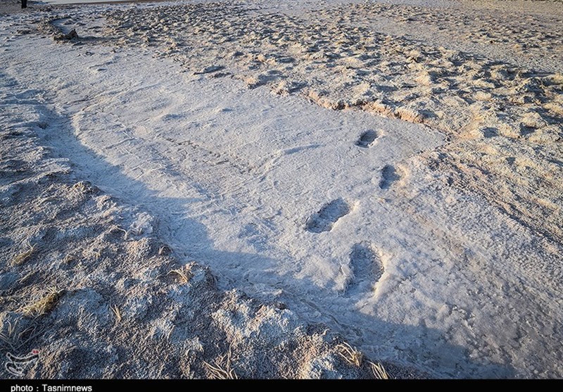 تالاب شادگان