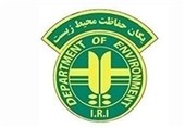 شناسایی عامل فروش پرنده مهاجر کمیاب در آبادان