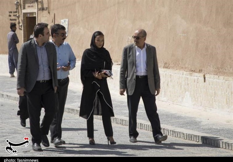 بازدید استرکیش لاروش رئیس دفتر منطقه‌ای یونسکو در ایران از بافت تاریخی یزد